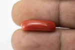 Natural Italian Red Coral (Moonga) 7.830 Carat / 8.604 Ratti - Capsule Shape - Size Reference