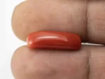 Natural Italian Red Coral (Moonga) 7.830 Carat / 8.604 Ratti - Capsule Shape - Size Reference