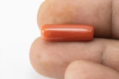 Natural Italian Red Coral (Moonga) 7.935 Carat / 8.720 Ratti - Capsule Shape - Size Reference