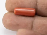 Natural Italian Red Coral (Moonga) 7.980 Carat / 8.769 Ratti - Capsule Shape - Size Reference