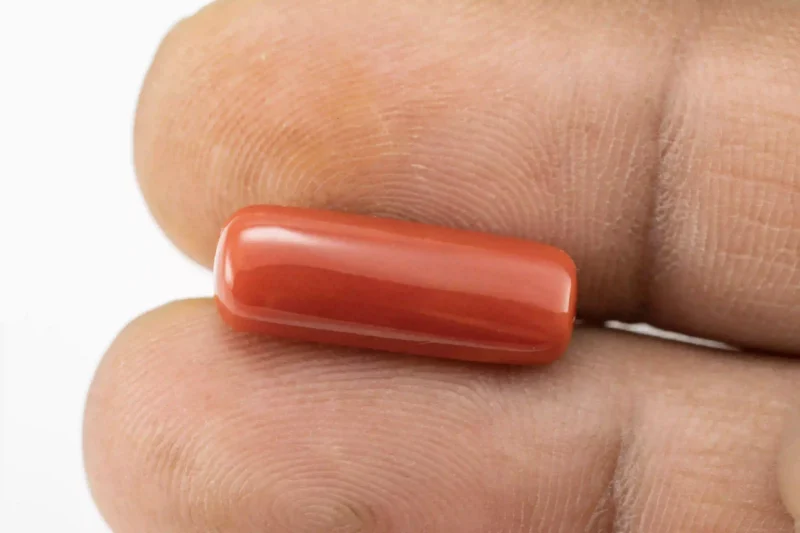 Natural Italian Red Coral (Moonga) 8.080 Carat / 8.879 Ratti - Capsule Shape - Size Reference