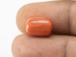 Natural Italian Red Coral (Moonga) 9.930 Carat / 10.912 Ratti - Capsule Shape - Size Reference