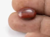 Jasper 6.06 Carat / 6.66 Ratti - Size Reference