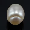 Certified Keshi Pearl 5.885 Carat - 6.10 Ratti - Front View