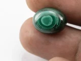 Malachite (Kidney Stone) 14.15 Carat / 15.55 Ratti - Size Reference