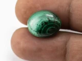 Malachite (Kidney Stone) 14.46 Carat / 15.89 Ratti - Size Reference