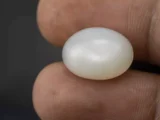 Moonstone (Chandramani) 12.08 Carat / 13.27 Ratti - Size Reference