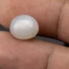 Moonstone (Chandramani) 5.93 Carat / 6.52 Ratti - Size Reference