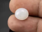 Moonstone (Chandramani) 7.22 Carat / 7.93 Ratti - Size Reference