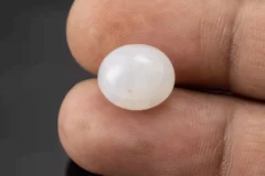 Moonstone (Chandramani) 7.22 Carat / 7.93 Ratti - Size Reference