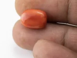 Red Coral (Moonga) 5.20 Carat / 5.71 Ratti - Size Reference