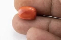 Red Coral (Moonga) 5.20 Carat / 5.71 Ratti - Size Reference