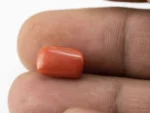 Red Coral (Moonga) 5.35 Carat / 5.89 Ratti - Size Reference