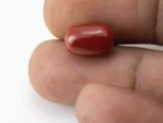 Red Coral (Moonga) 5.51 Carat / 6.05 Ratti - Size Reference