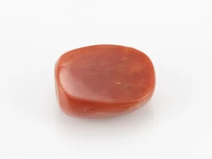 Red Coral (Moonga) 5.53 Carat / 6.08 Ratti - Back View