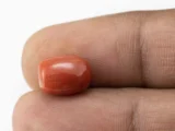 Red Coral (Moonga) 5.53 Carat / 6.08 Ratti - Size Reference