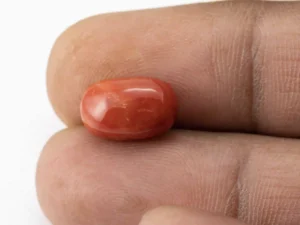 Red Coral (Moonga) 5.57 Carat / 6.12 Ratti - Size Reference