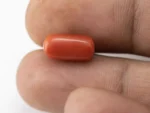 Natural Red Coral (Moonga) 5.58 Carat / 6.13 Ratti - Capsule-Oval Mix Shape - Size Reference