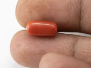Natural Red Coral (Moonga) 5.58 Carat / 6.13 Ratti - Capsule-Oval Mix Shape - Size Reference