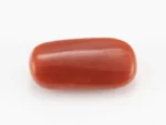 Red Coral (Moonga) 5.77 Carat / 6.34 Ratti - Back View