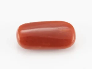 Red Coral (Moonga) 5.77 Carat / 6.34 Ratti - Back View