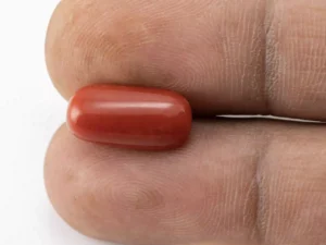Red Coral (Moonga) 5.77 Carat / 6.34 Ratti - Size Reference