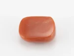 Red Coral (Moonga) 5.90 Carat / 6.48 Ratti - Back View