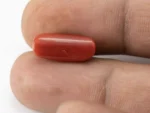Red Coral (Moonga) 6.00 Carat / 6.59 Ratti - Size Reference