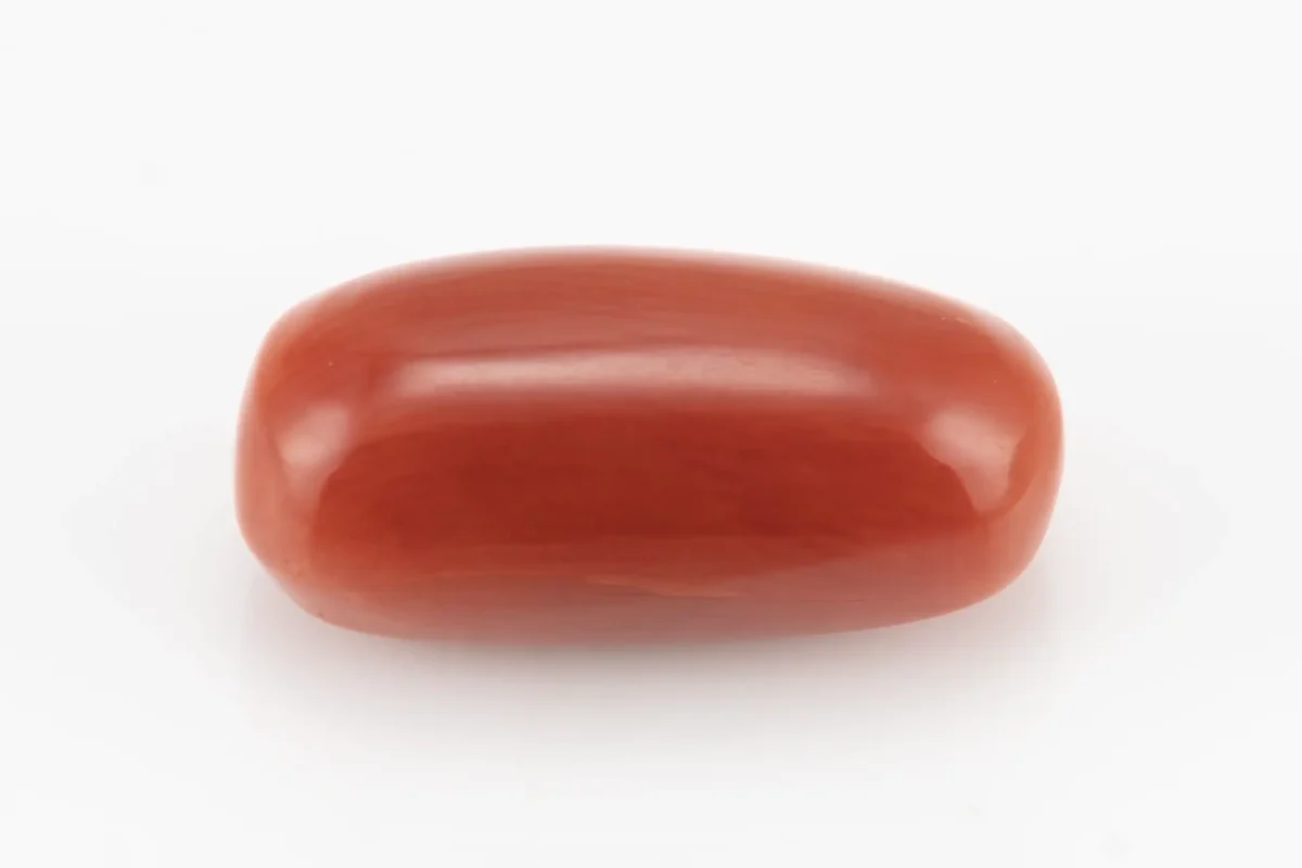 Red Coral (Moonga) 6.04 Carat / 6.64 Ratti - Back View