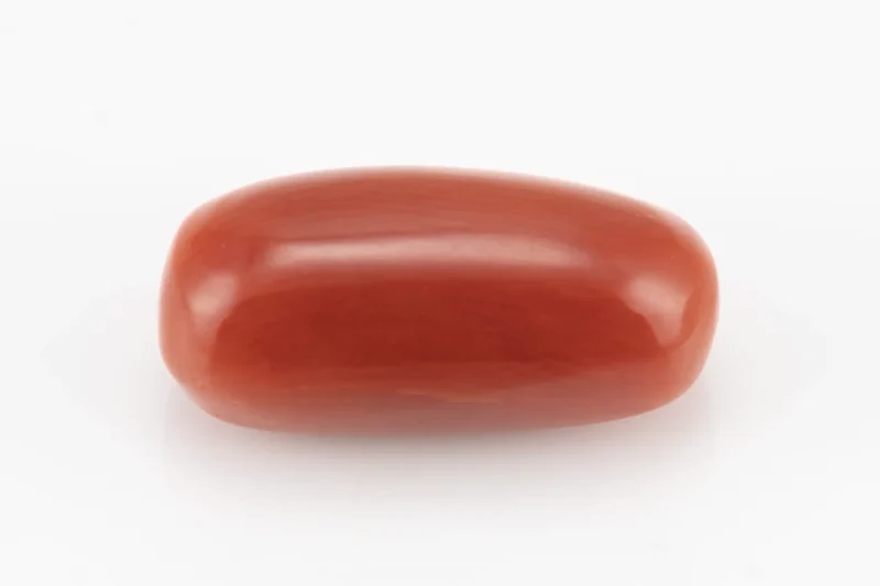 Red Coral (Moonga) 6.04 Carat / 6.64 Ratti - Back View