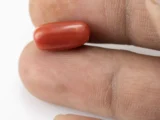 Red Coral (Moonga) 6.04 Carat / 6.64 Ratti - Size Reference