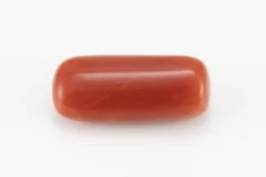 Red Coral (Moonga) 6.10 Carat / 6.70 Ratti - Back View