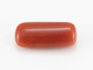 Red Coral (Moonga) 6.10 Carat / 6.70 Ratti - Back View