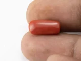 Red Coral (Moonga) 6.10 Carat / 6.70 Ratti - Size Reference