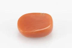 Red Coral (Moonga) 6.11 Carat / 6.71 Ratti - Back View