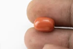 Red Coral (Moonga) 6.11 Carat / 6.71 Ratti - Size Reference
