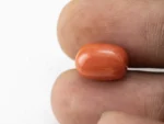 Red Coral (Moonga) 6.11 Carat / 6.71 Ratti - Size Reference