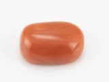 Moonga Stone 6.71 Ratti - Red Coral Stone showcasing vibrant red color and capsule-oval mix cut