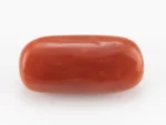 Red Coral (Moonga) 6.17 Carat / 6.78 Ratti - Back View