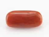 Red Coral (Moonga) 6.17 Carat / 6.78 Ratti - Back View