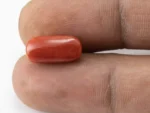 Red Coral (Moonga) 6.17 Carat / 6.78 Ratti - Size Reference