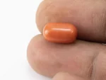 Red Coral (Moonga) 6.20 Carat / 6.81 Ratti - Size Reference