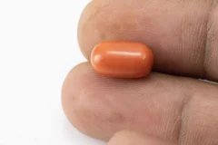 Red Coral (Moonga) 6.20 Carat / 6.81 Ratti - Size Reference