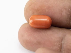 Red Coral (Moonga) 6.20 Carat / 6.81 Ratti - Size Reference