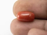 Red Coral (Moonga) 6.36 Carat / 6.99 Ratti - Size Reference