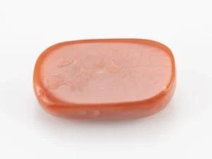 Red Coral (Moonga) 6.37 Carat / 7.00 Ratti - Back View