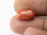 Red Coral (Moonga) 6.37 Carat / 7.00 Ratti - Size Reference