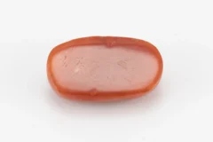 Red Coral (Moonga) 6.50 Carat / 7.14 Ratti - Back View