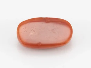 Red Coral (Moonga) 6.50 Carat / 7.14 Ratti - Back View