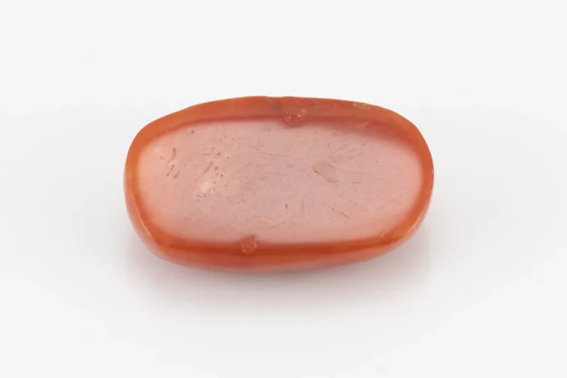 Red Coral (Moonga) 6.50 Carat / 7.14 Ratti - Back View